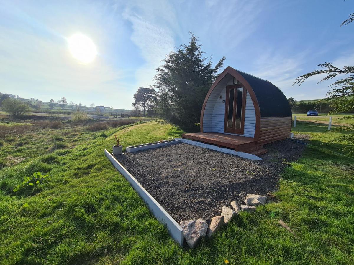 Delightful Camping Pod In Snowdonia, North Wales. Derwen Exterior foto