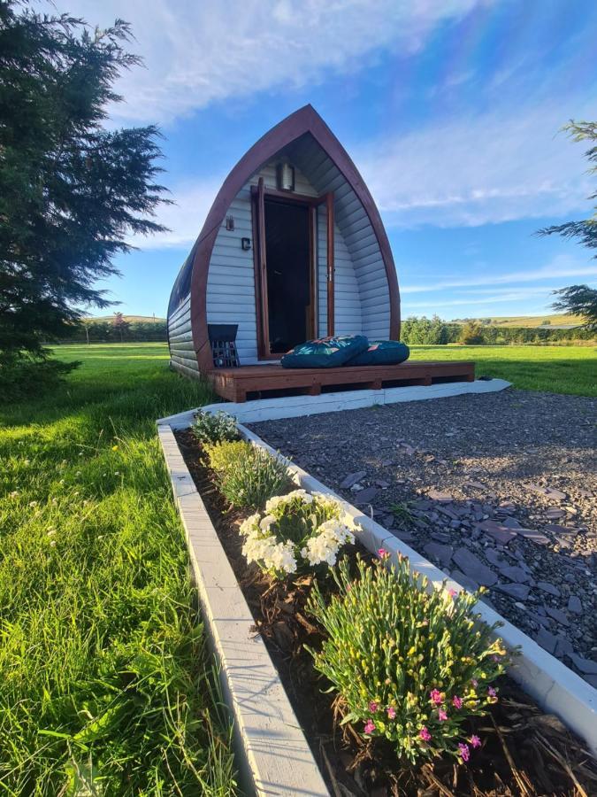 Delightful Camping Pod In Snowdonia, North Wales. Derwen Exterior foto